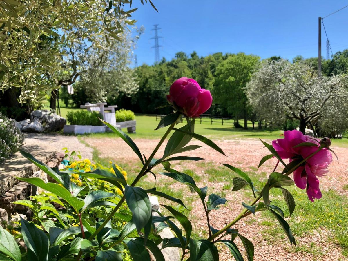 آفي Serene Holiday And Wine Farm المظهر الخارجي الصورة