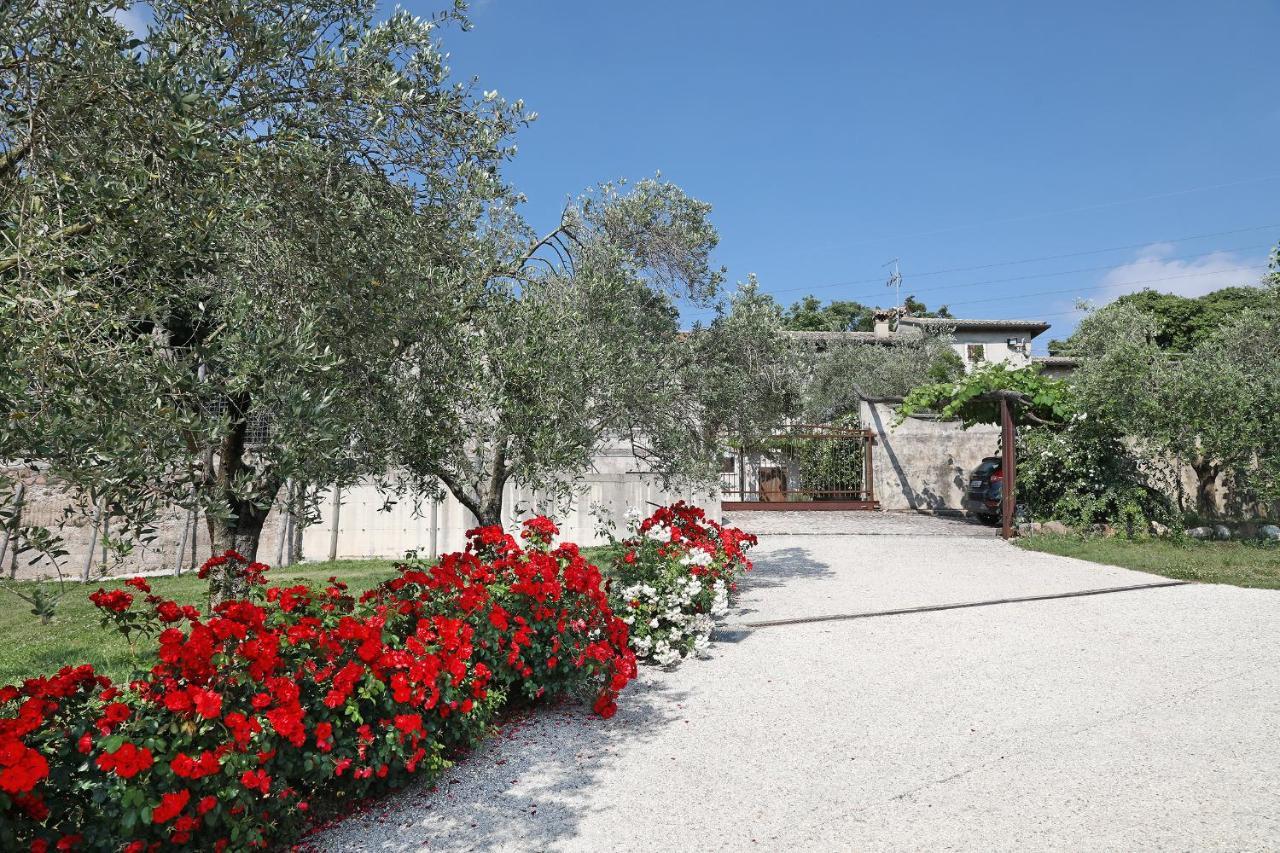 آفي Serene Holiday And Wine Farm المظهر الخارجي الصورة