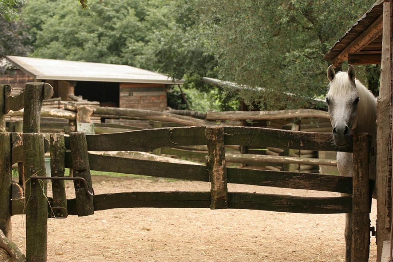 آفي Serene Holiday And Wine Farm المظهر الخارجي الصورة